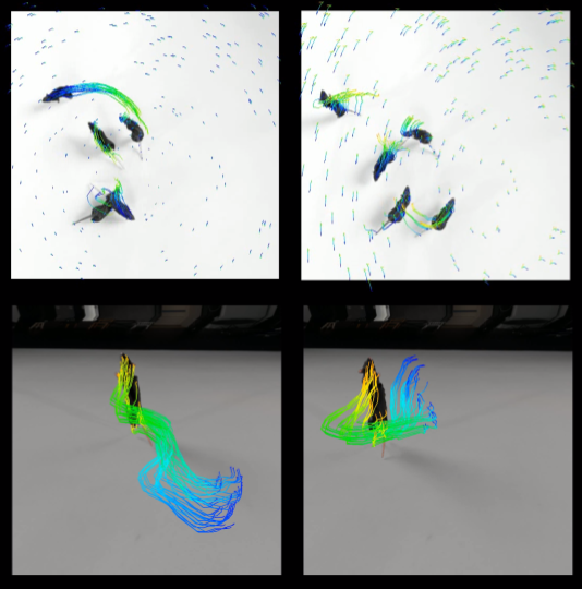 Thumbnail for Synthetic Data of Animal Models for Point Tracking
